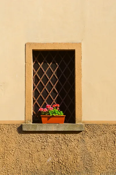 Window — Stock Photo, Image