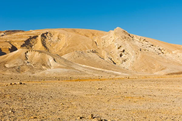 Deserto — Fotografia de Stock