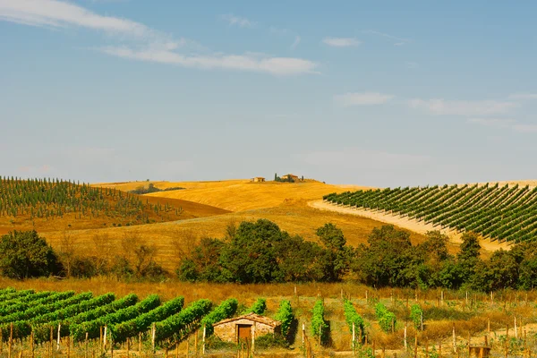 Tuscany — Stock Photo, Image