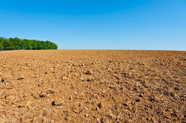 Fields — Stock Photo, Image