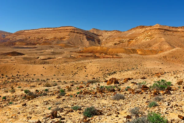 Kayalık Hills — Stok fotoğraf