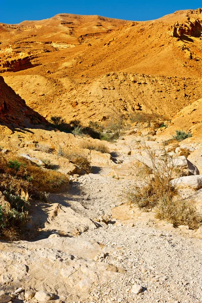 Lecho de río — Foto de Stock