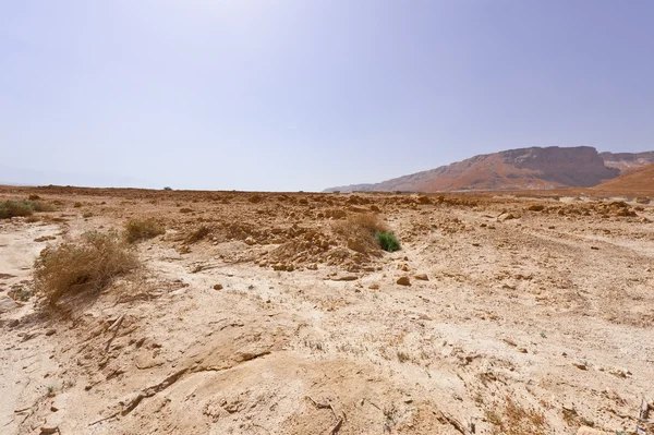 Desert — Stock Photo, Image