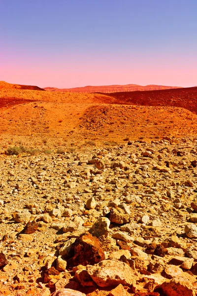 Este a sivatagban — Stock Fotó