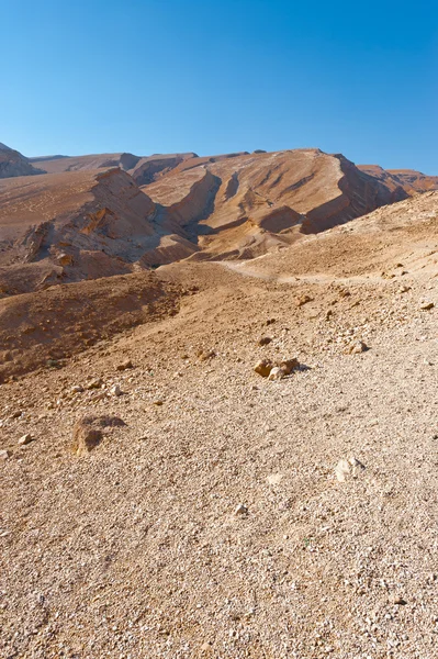 Έρημο Negev — Φωτογραφία Αρχείου