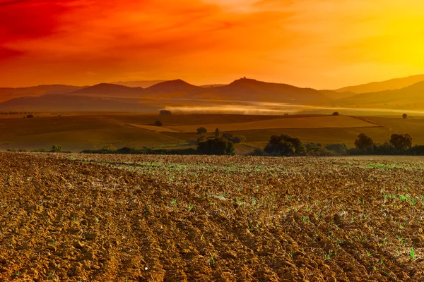 Geploegd veld — Stockfoto