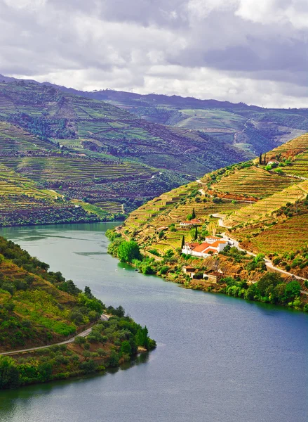 Douro — Fotografia de Stock