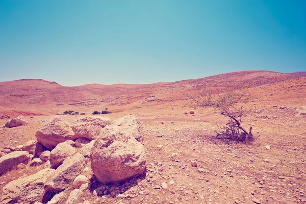 West Bank — Stock Photo, Image