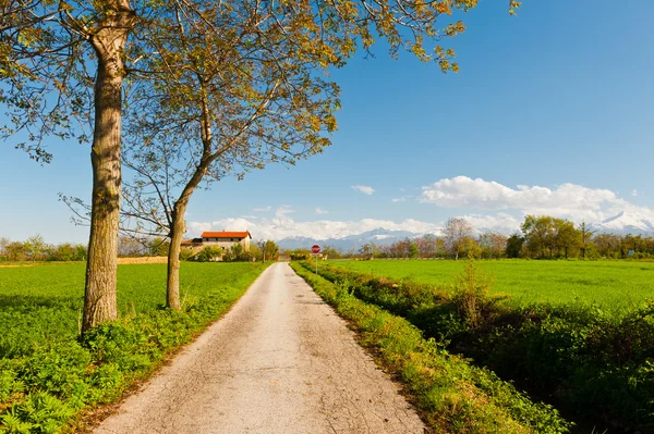 Farmhouse — Stock Photo, Image