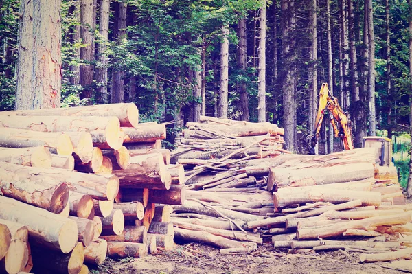 Firewood — Stock Photo, Image