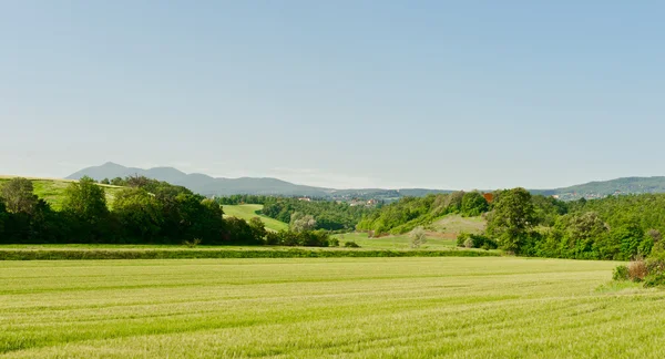 Panorama — Stockfoto