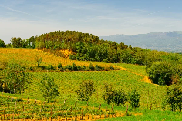 Chianti. —  Fotos de Stock