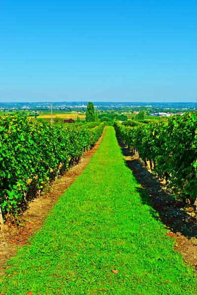 Bordeaux — Stockfoto