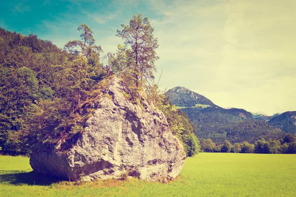 Large Rock — Stock Photo, Image