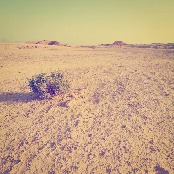 Deserto — Fotografia de Stock