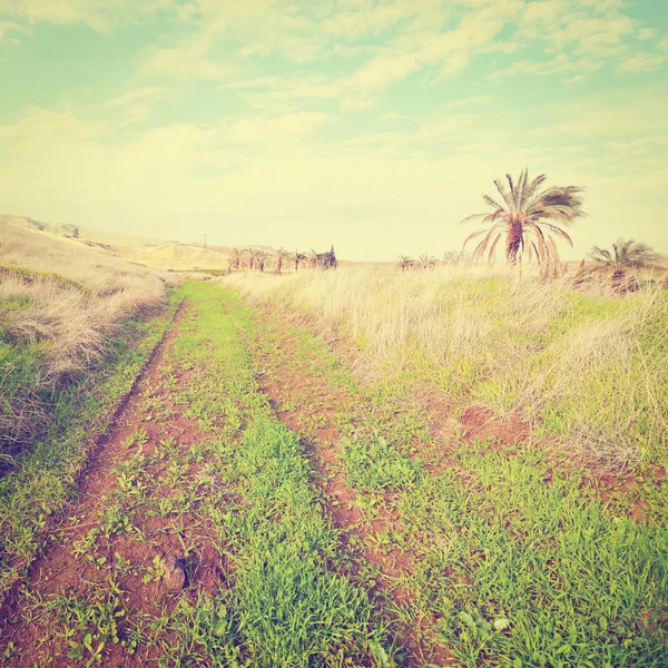 Carretera cubierta — Foto de Stock