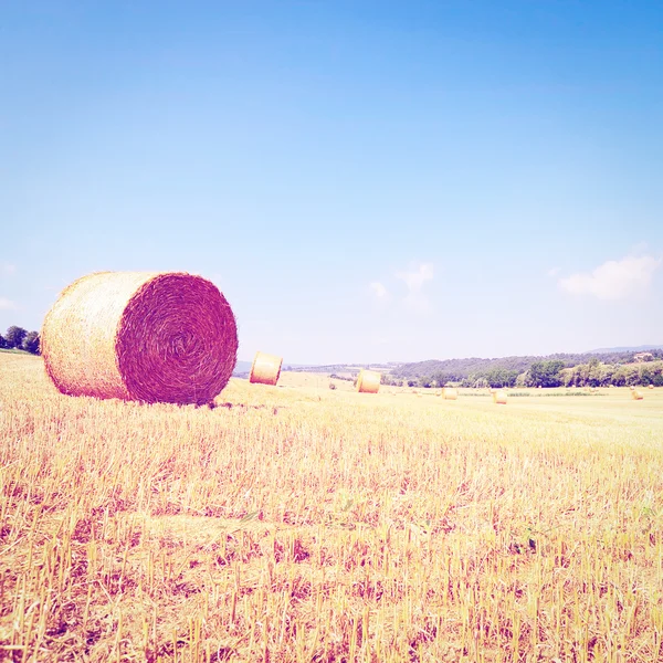 Heuballen — Stockfoto