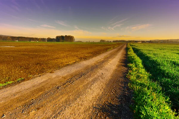 Toprak yol — Stok fotoğraf