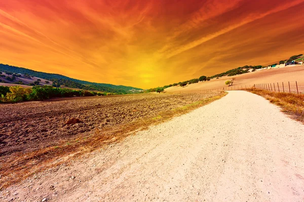 Plowed Field — Stock Photo, Image