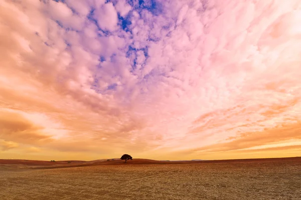 Clouds — Stock Photo, Image