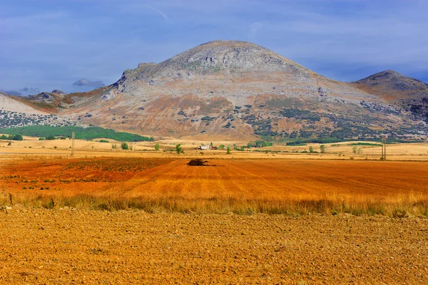 Paisaje —  Fotos de Stock