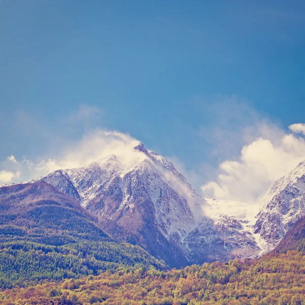 Snøstorm – stockfoto