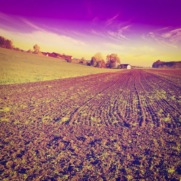 Plowed Fields — Stock Photo, Image