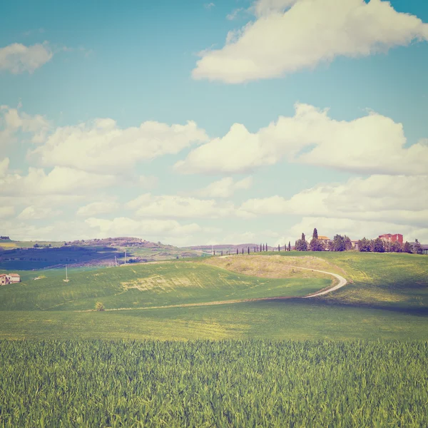 Farmhouse e Green Sloping Meadows da Toscana, Efeito Instagram — Fotografia de Stock