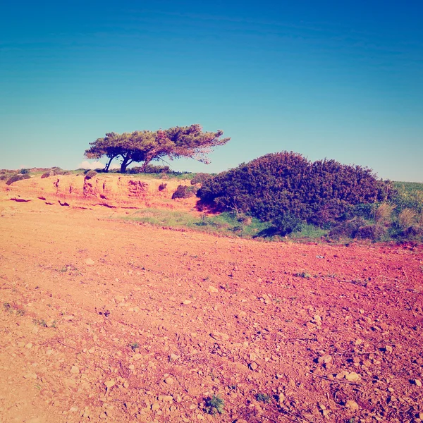 Geploegd veld — Stockfoto