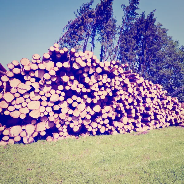 Holzeinschlag — Stockfoto