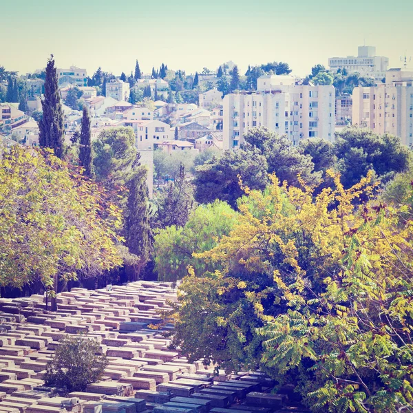 Εβραϊκό νεκροταφείο — Φωτογραφία Αρχείου