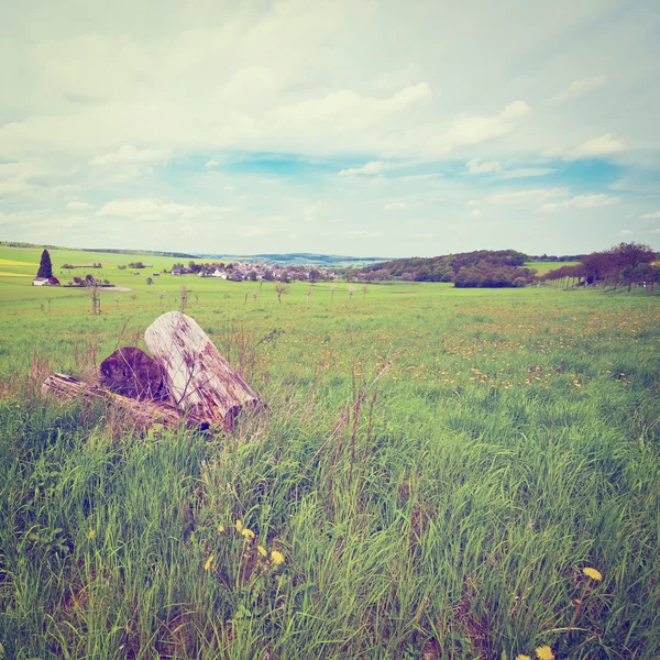 Pasture — Stock Photo, Image