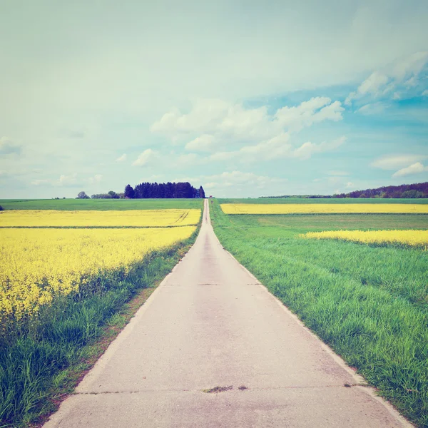 Asphaltstraße — Stockfoto