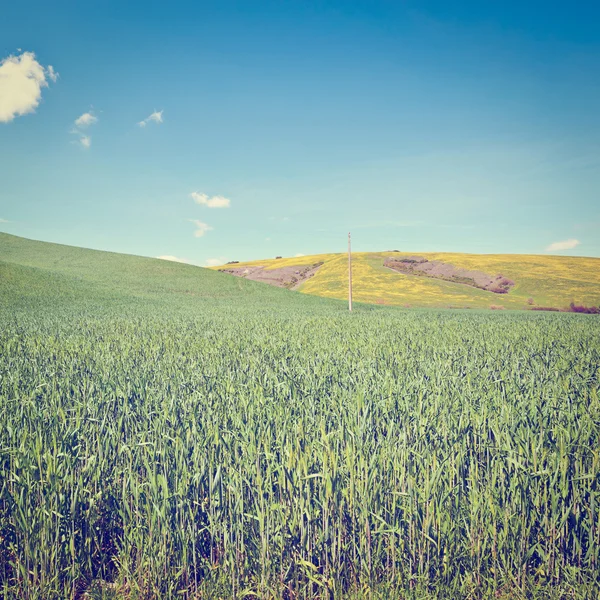 Eğimli meadows — Stok fotoğraf