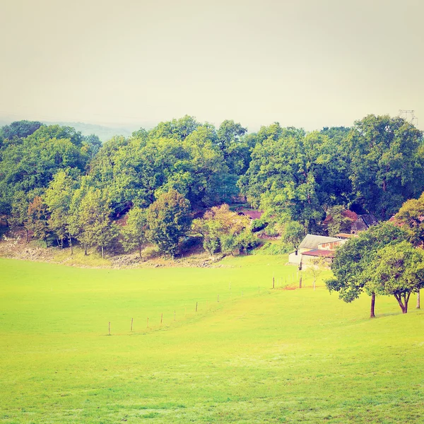 Nebelmorgen — Stockfoto