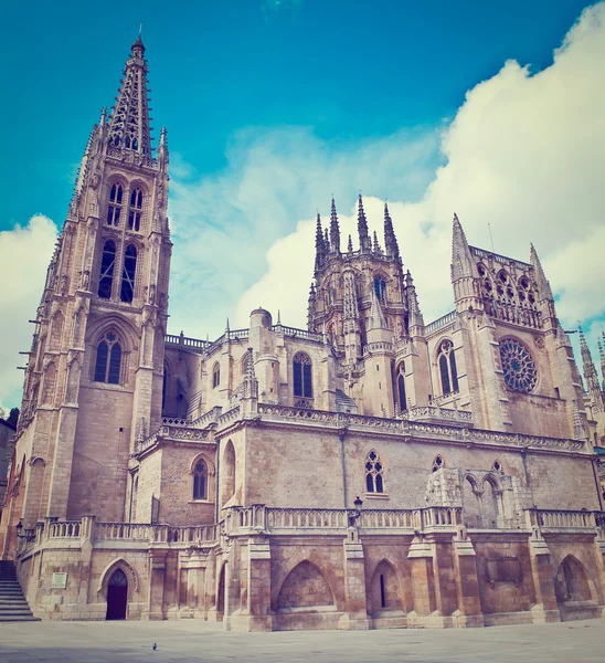 Catedral gótica —  Fotos de Stock