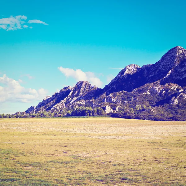 Sunny Meadow — Stock Photo, Image