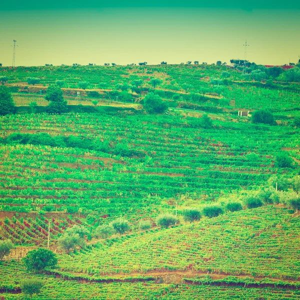 Heuvels van portugal — Stockfoto