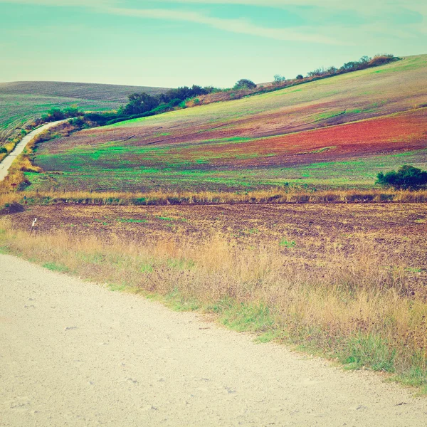 Toprak yol — Stok fotoğraf