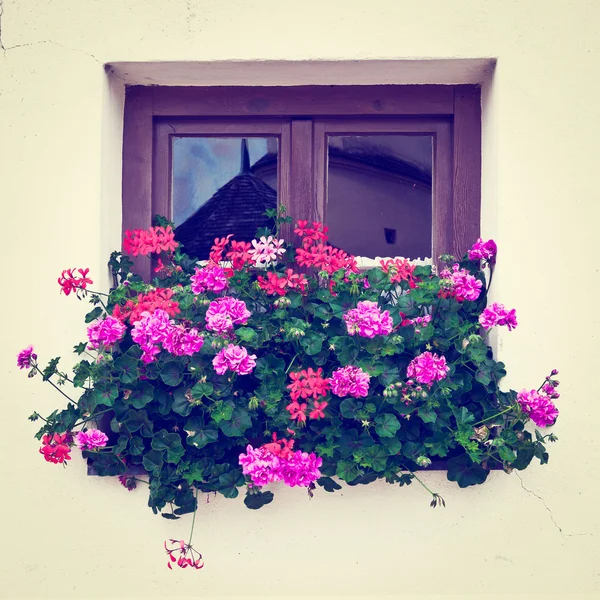 Bavarian Window — Stock Photo, Image