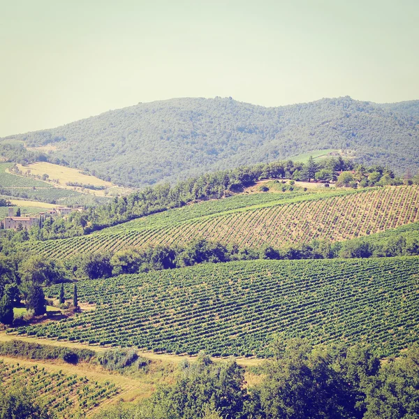 Colina da Toscana com vinha na região de Chianti — Fotografia de Stock