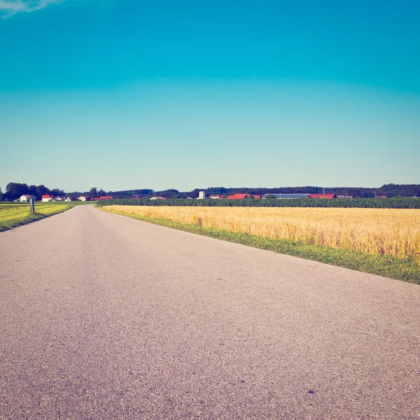 Campos de trigo — Foto de Stock