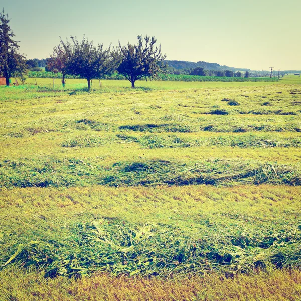 Mown Fields — Stock Photo, Image