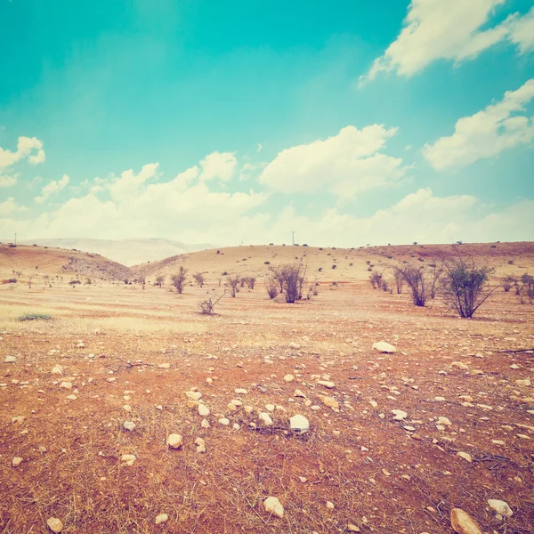 イスラエルの砂漠 — ストック写真