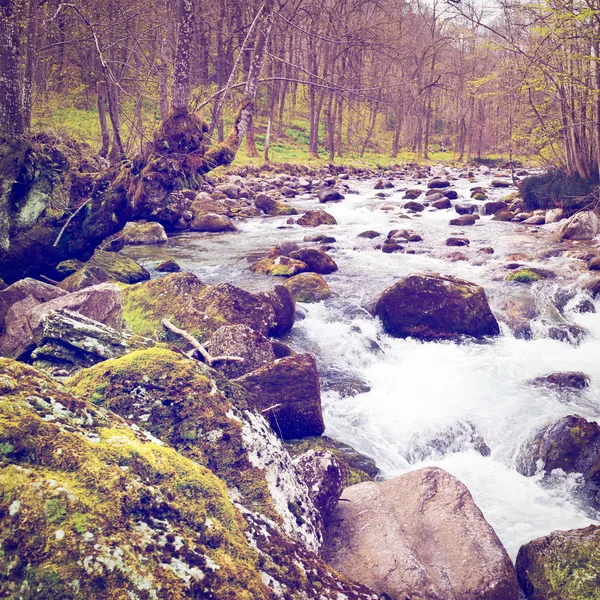 Akış — Stok fotoğraf