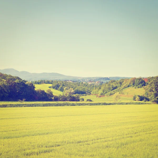 Felder und Berge — Stockfoto