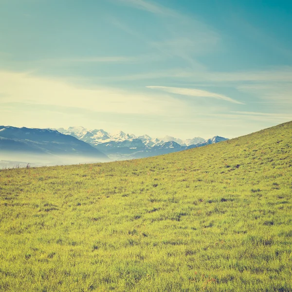 Morning Mist — Stock Photo, Image