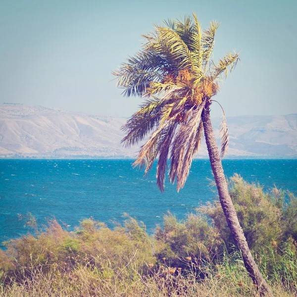 Mar de galileu — Fotografia de Stock