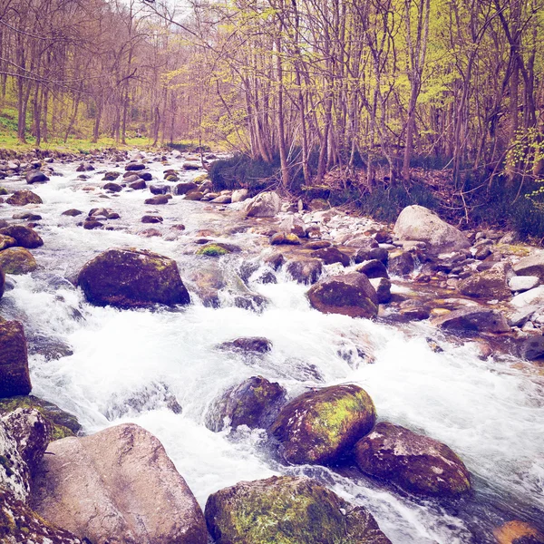 Гірський струмок — стокове фото