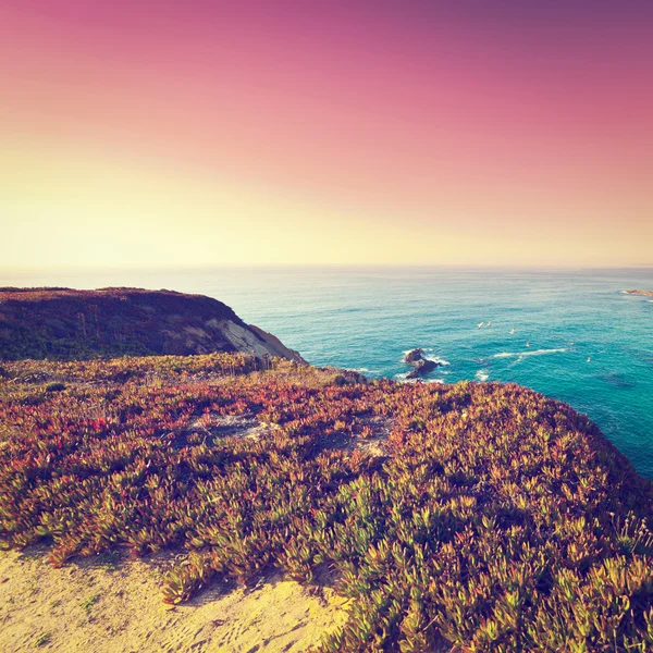 Rocky Coast — Stock Photo, Image